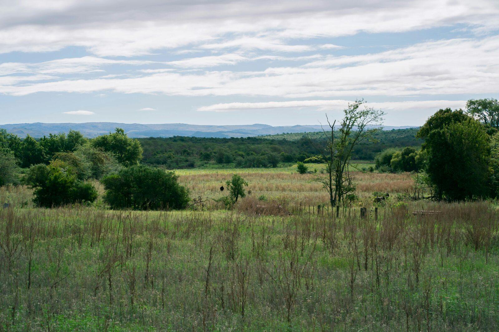 Original property photo with a gray overcast sky.