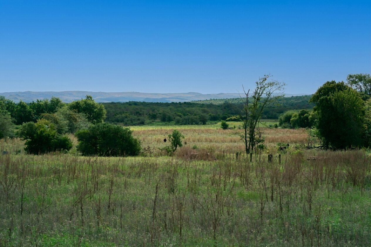 Edited property photo with a clean blue sky created in ListingWand.