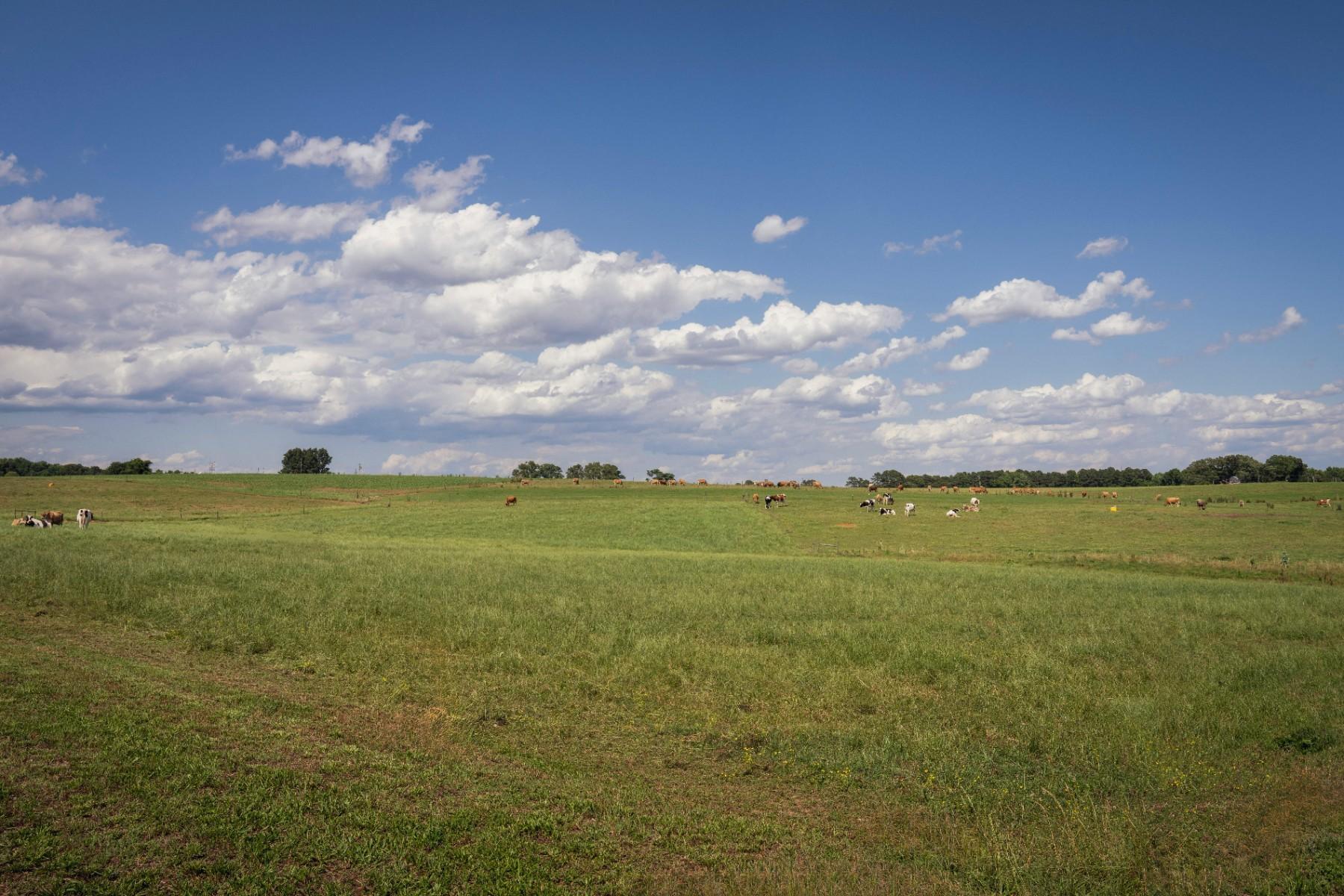 Original vacant farmland photo before farm home concept visualization.
