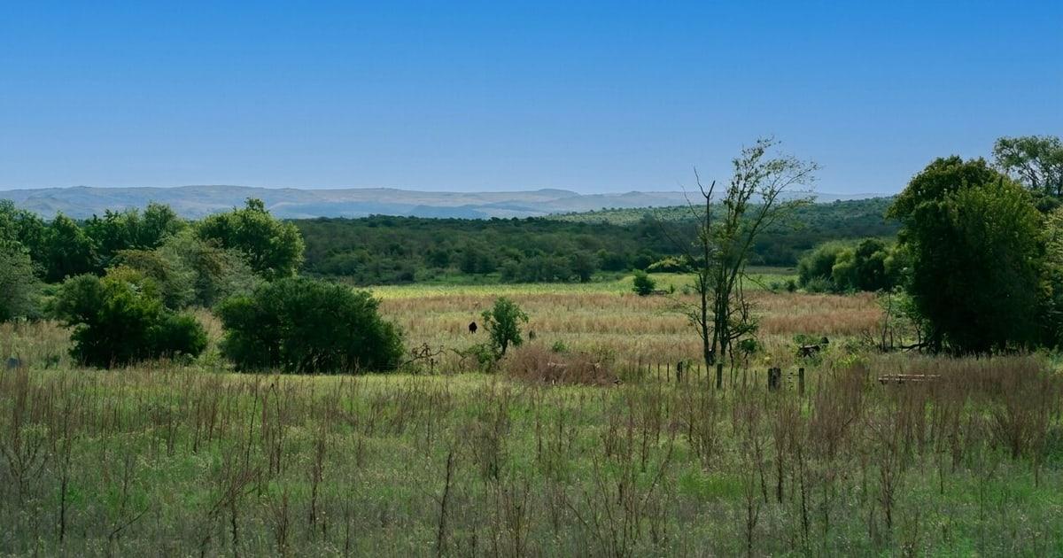 Property photo after the sky was changed from gray to blue